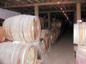 Lambic maturing at Cantillon